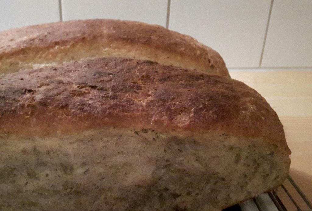 Grovt byggbrød fra Dyrks oppskrift